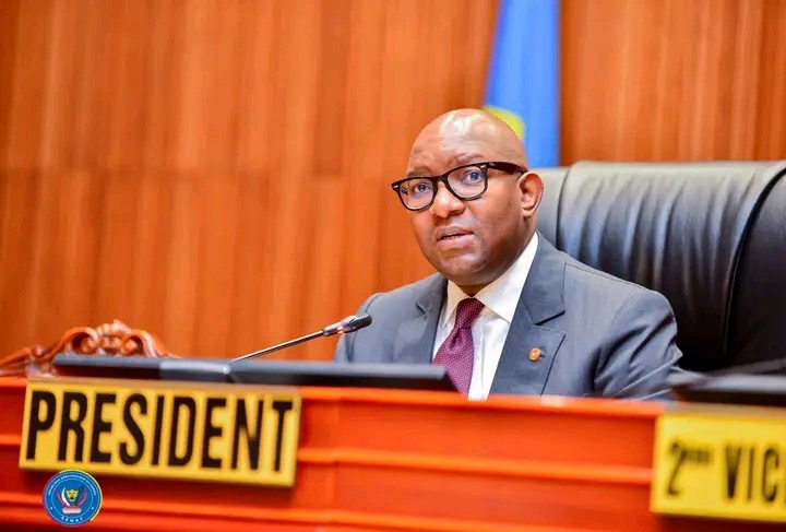 Senate Extraordinary Session: 25 Items on the Agenda, Including the “Grand Inga” and “Stand Up, Young Congolese” Bills